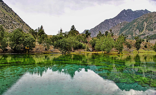 Naltar Valley, Gilgit Pakistan