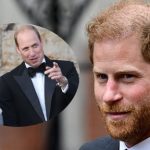 Prince Harry in Trouble
