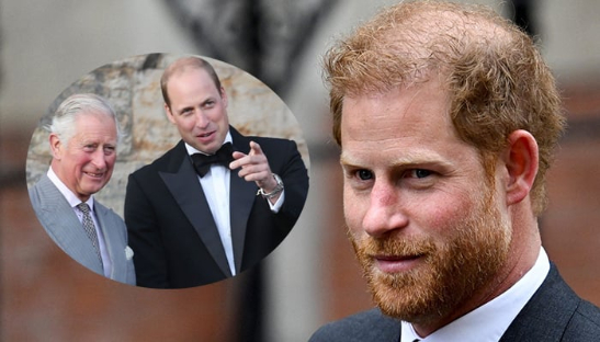Prince Harry’s Challenging UK Visit: Homeless in the Palace?