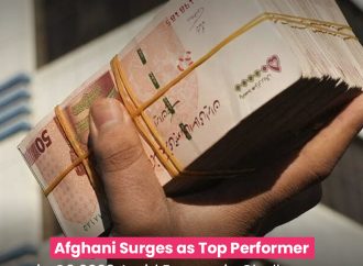 Afghani Surges as Top Performer in Q3 2023 Amid Economic Challenges