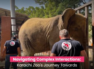 Navigating Complex Interactions Karachi Zoo Journey Towards Animal Welfare and Education