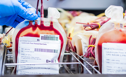 global blood banks