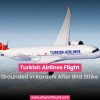 Turkish Airlines Flight Grounded in Karachi After Bird Strike