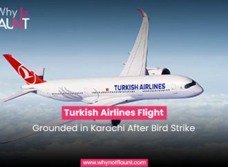 Turkish Airlines Flight Grounded in Karachi After Bird Strike
